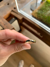 Lade das Bild in den Galerie-Viewer, Weißer Brillant für Ring ELISE